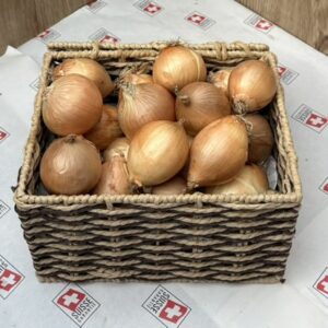Zwiebeln