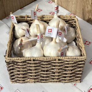 Knoblauch frisch